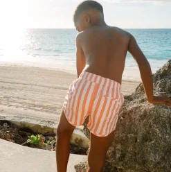 Boys Swizzle Stripe Boardie