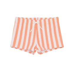 Boys Swizzle Stripe Brief