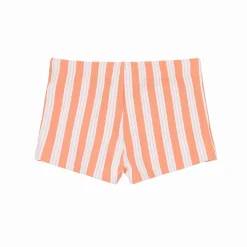 Boys Swizzle Stripe Brief