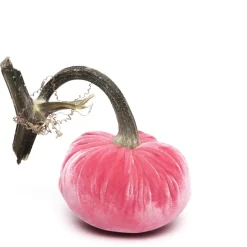 Bubblegum Silk Velvet Pumpkin