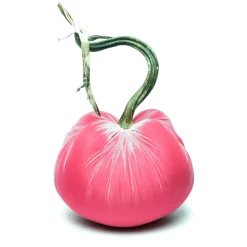 Bubblegum Silk Velvet Pumpkin