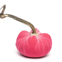 Bubblegum Silk Velvet Pumpkin