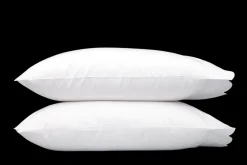 Butterfield Collection