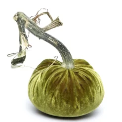 Cactus Silk Velvet Pumpkin