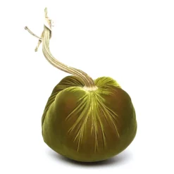 Cactus Silk Velvet Pumpkin