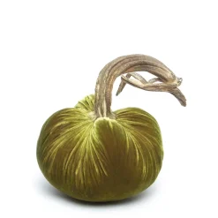 Cactus Silk Velvet Pumpkin
