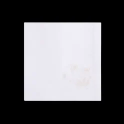 Camaieu Ivoire Embroidered Dinner Napkin