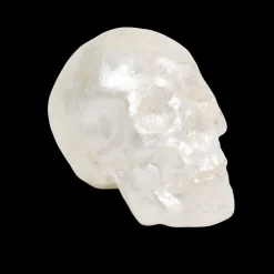 Capiz Skull in Pearl