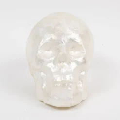 Capiz Skull in Pearl