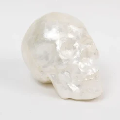 Capiz Skull in Pearl