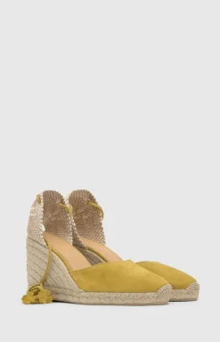 Carina 8 in Arbequina