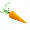 Carrot in Carrot