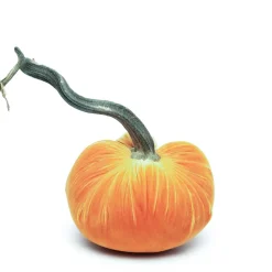 Carrot Silk Velvet Pumpkin