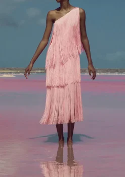 Cascada Dress In Pink