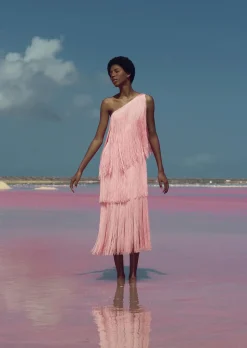 Cascada Dress In Pink