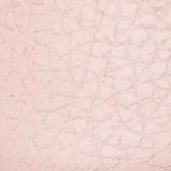 Charlotte Mary Jane Pink