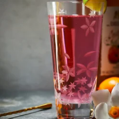 Chatham Bloom Highball Glasses, Set of 2