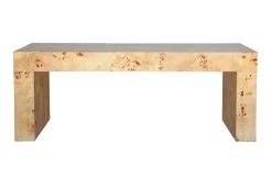 Chloe Burl Coffee Table
