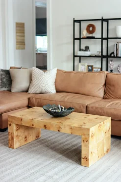 Chloe Burl Coffee Table