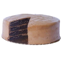 Chocolate Mocha Cake