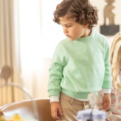 Christopher Crewneck Sweater in Mid Ocean Mint