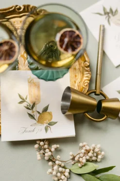 Classic Cocktail Napkins