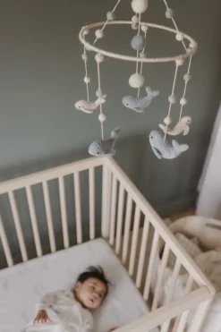 Classic Mobile in Follow Me Whale