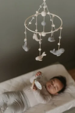 Classic Mobile in Follow Me Whale