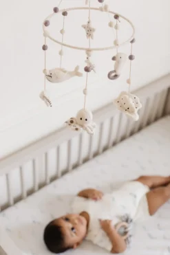 Classic Mobile in Life Aquatic