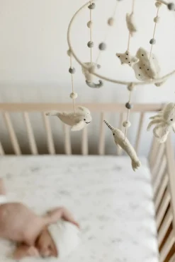 Classic Mobile in Life Aquatic