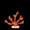 Coral Placecard Holders in Coral, Set of Two