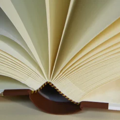 Countryside Birds Photo Album