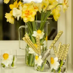 Daffodil Jug