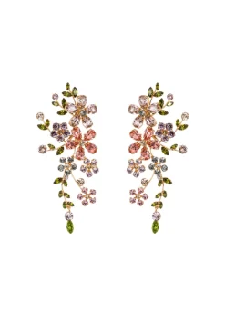 Darianna Earrings in Multi