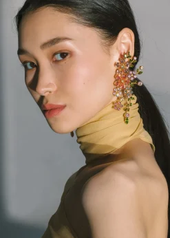 Darianna Earrings in Multi