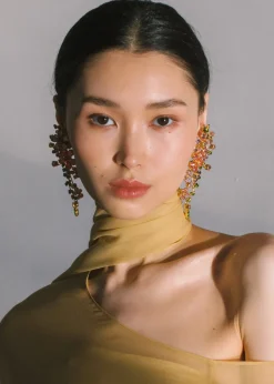 Darianna Earrings in Multi