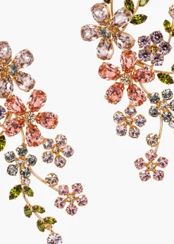 Darianna Earrings in Multi