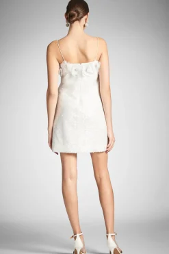 Dasha Dress in Clear/Ivory