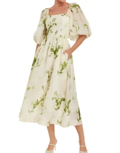 Delphine Midi Dress in Ivory & Green