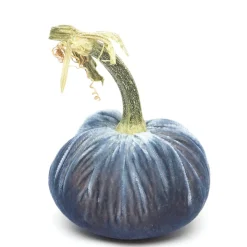Denim Silk Velvet Pumpkin