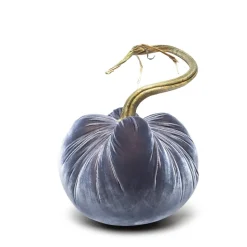 Denim Silk Velvet Pumpkin