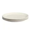 Dinner Plates in White