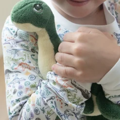 Dino Zip Baby Onesie