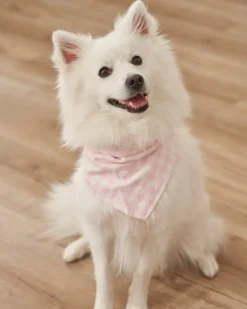 Dog Bandana