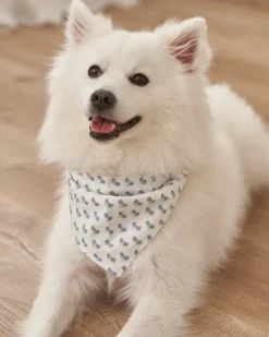 Dog Bandana