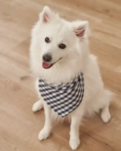 Dog Bandana