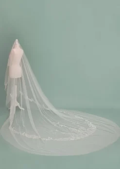 Donata Veil