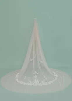 Donata Veil