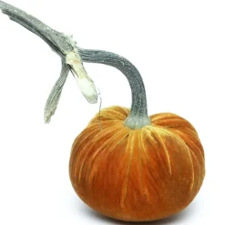 D'or Silk Velvet Pumpkin