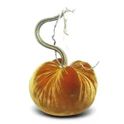 D'or Silk Velvet Pumpkin
